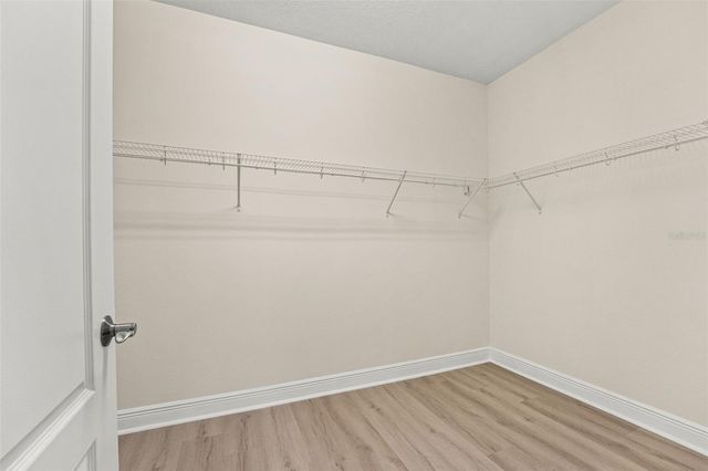 19820 LONESOME PINE DRIVE, Land O Lakes, FL 34638