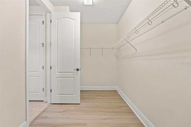 19820 LONESOME PINE DRIVE, Land O Lakes, FL 34638