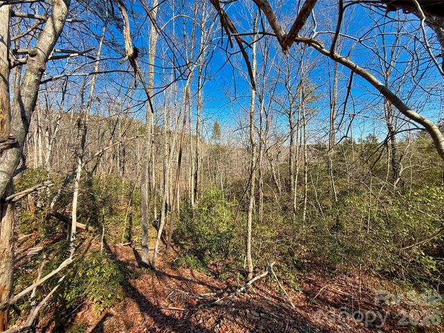 Lots 79 80 100 Westridge Drive, Lake Lure, NC 28746