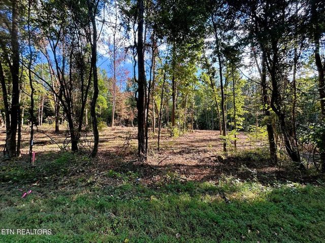5.5 Acres Pleasant Hill Road 1, Ten Mile, TN 37880