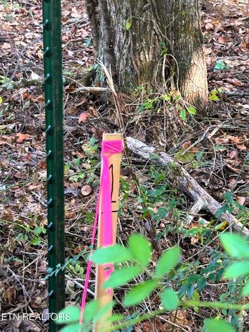 5.5 Acres Pleasant Hill Road 1, Ten Mile, TN 37880