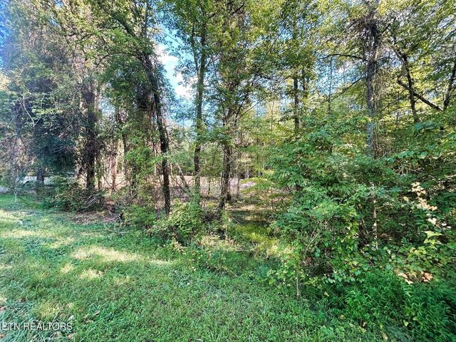 5.5 Acres Pleasant Hill Road 1, Ten Mile, TN 37880