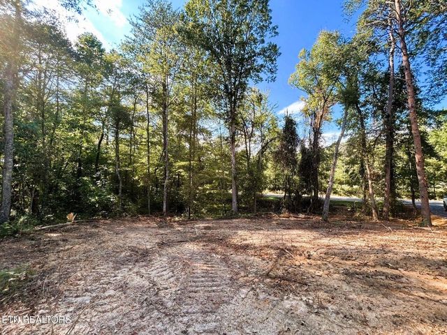 5.5 Acres Pleasant Hill Road 1, Ten Mile, TN 37880
