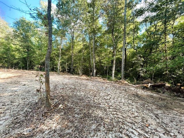 5.5 Acres Pleasant Hill Road 1, Ten Mile, TN 37880