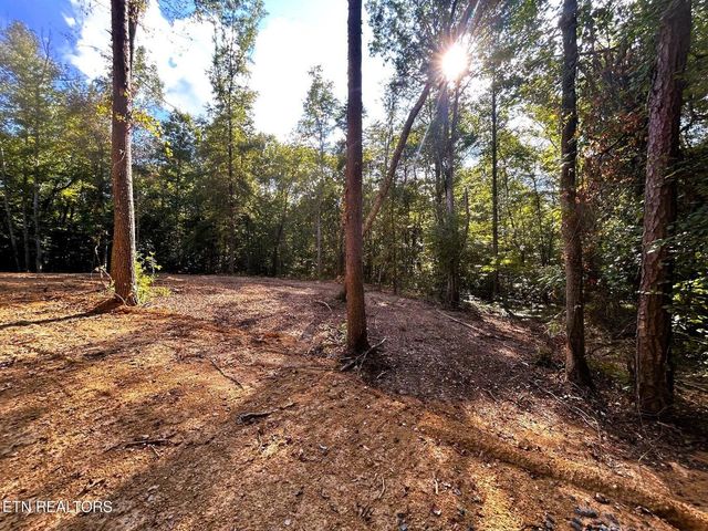 5.5 Acres Pleasant Hill Road 1, Ten Mile, TN 37880