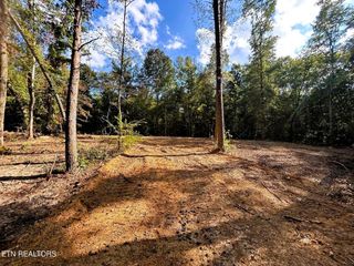 5.5 Acres Pleasant Hill Road 1, Ten Mile, TN 37880