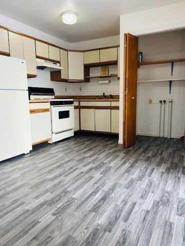 407 E Lincoln Avenue, Reed City, MI 49677