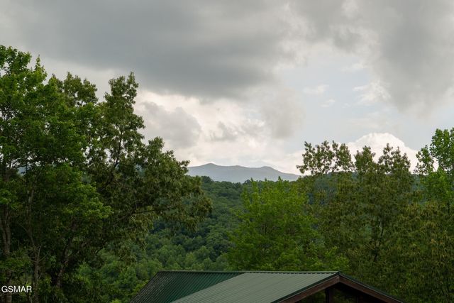314 Brown Wren Way, Gatlinburg, TN 37738