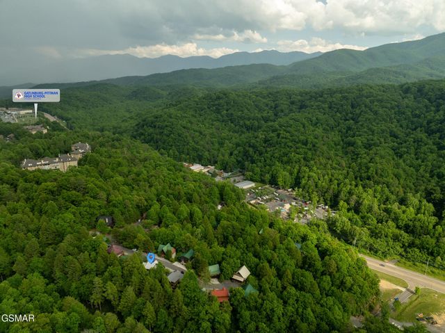 314 Brown Wren Way, Gatlinburg, TN 37738