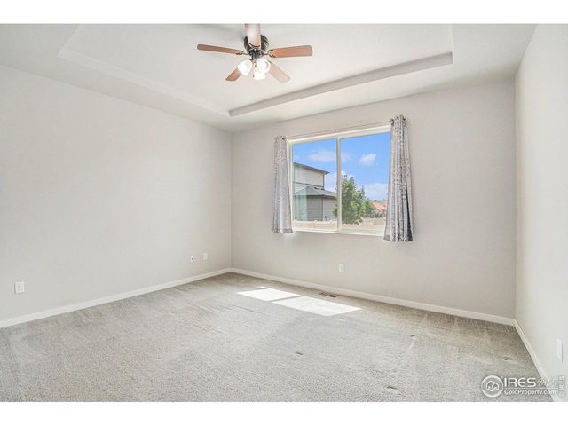 3787 Buckthorn St, Wellington, CO 80549