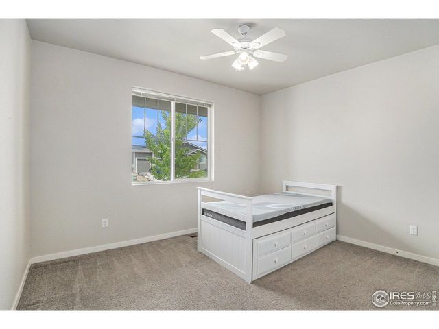 3787 Buckthorn St, Wellington, CO 80549