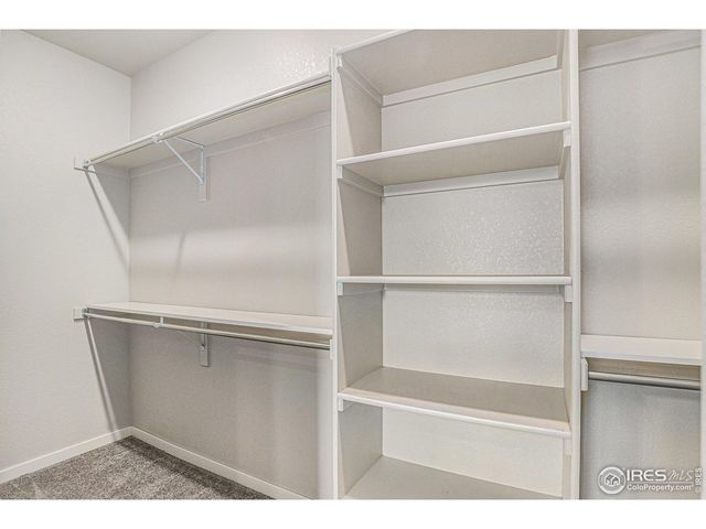 3787 Buckthorn St, Wellington, CO 80549