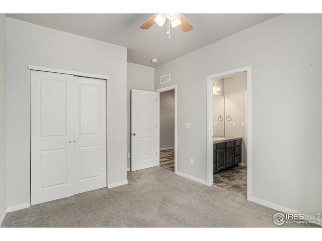 3787 Buckthorn St, Wellington, CO 80549