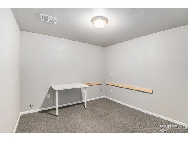 3787 Buckthorn St, Wellington, CO 80549