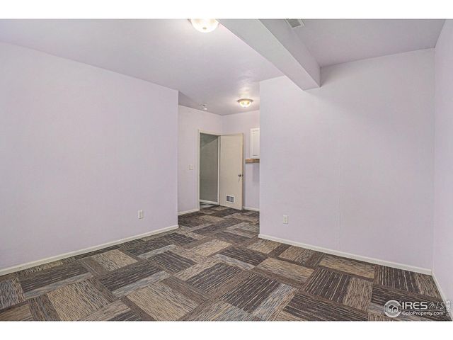 3787 Buckthorn St, Wellington, CO 80549