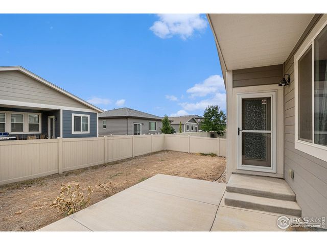 3787 Buckthorn St, Wellington, CO 80549