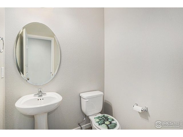 3787 Buckthorn St, Wellington, CO 80549