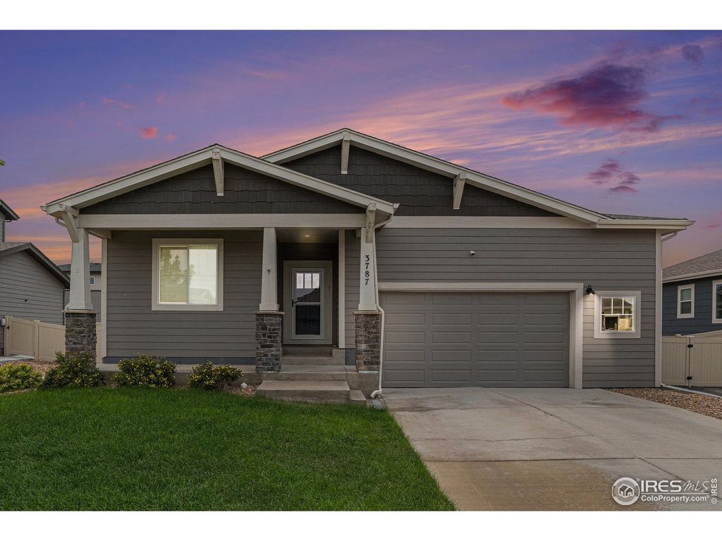 3787 Buckthorn St, Wellington, CO 80549