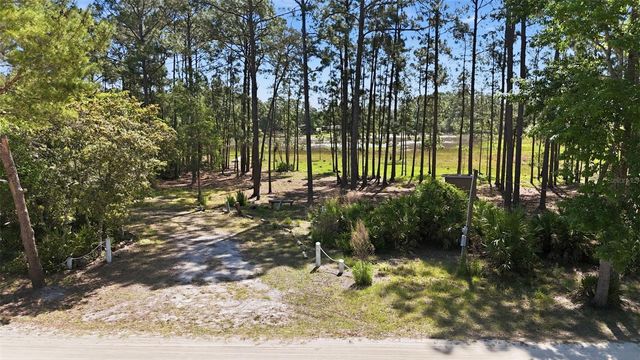 TBD HOLLY BRANCH ROAD, Eustis, FL 32736