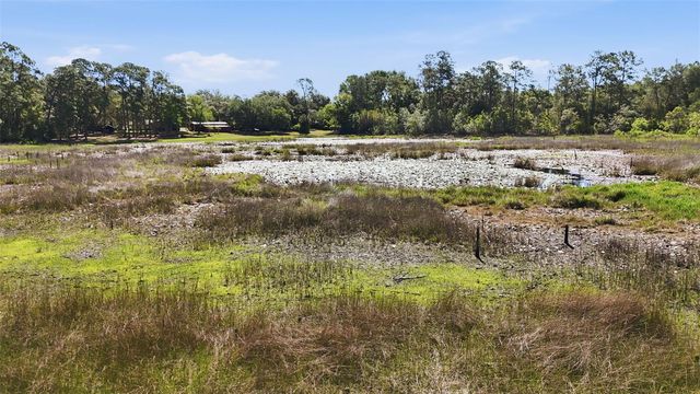 TBD HOLLY BRANCH ROAD, Eustis, FL 32736