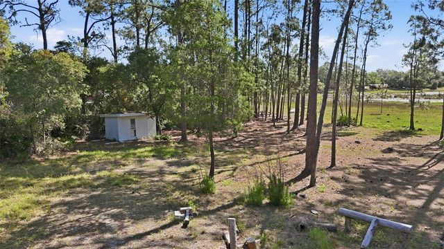 TBD HOLLY BRANCH ROAD, Eustis, FL 32736