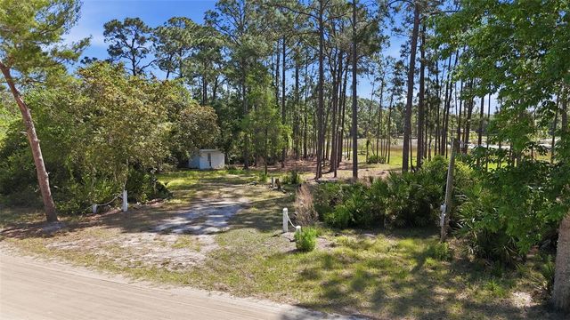 TBD HOLLY BRANCH ROAD, Eustis, FL 32736