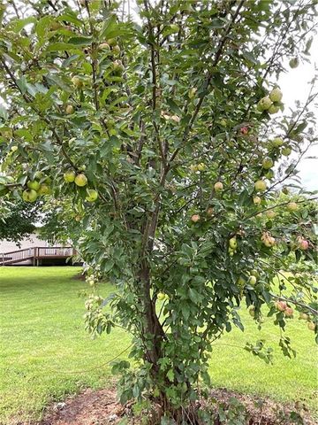 18615 137th Street, Pattonsburg, MO 64670