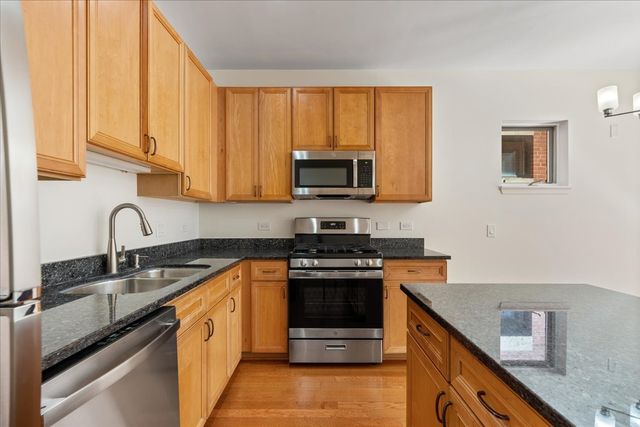 944 W 15th Place 3B, Chicago, IL 60608