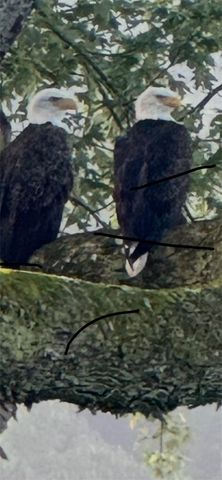 214 Youngs Ln, Sugarcreek Boro, PA 16323