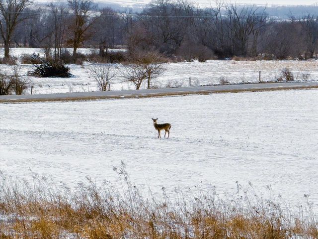 W2140 Behnke Road, Brooklyn, WI 53521