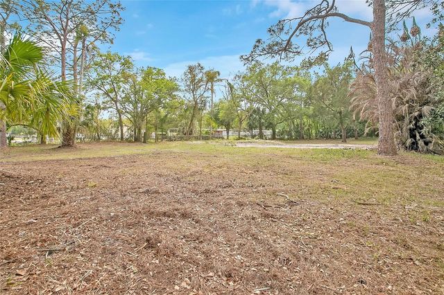 806 SAINT NICHOLAS AVENUE, Christmas, FL 32709