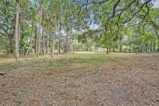 806 SAINT NICHOLAS AVENUE, Christmas, FL 32709