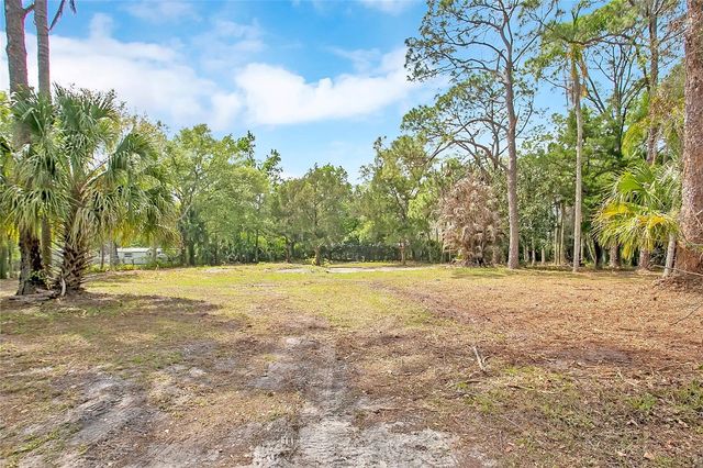 806 SAINT NICHOLAS AVENUE, Christmas, FL 32709