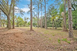 806 SAINT NICHOLAS AVENUE, Christmas, FL 32709