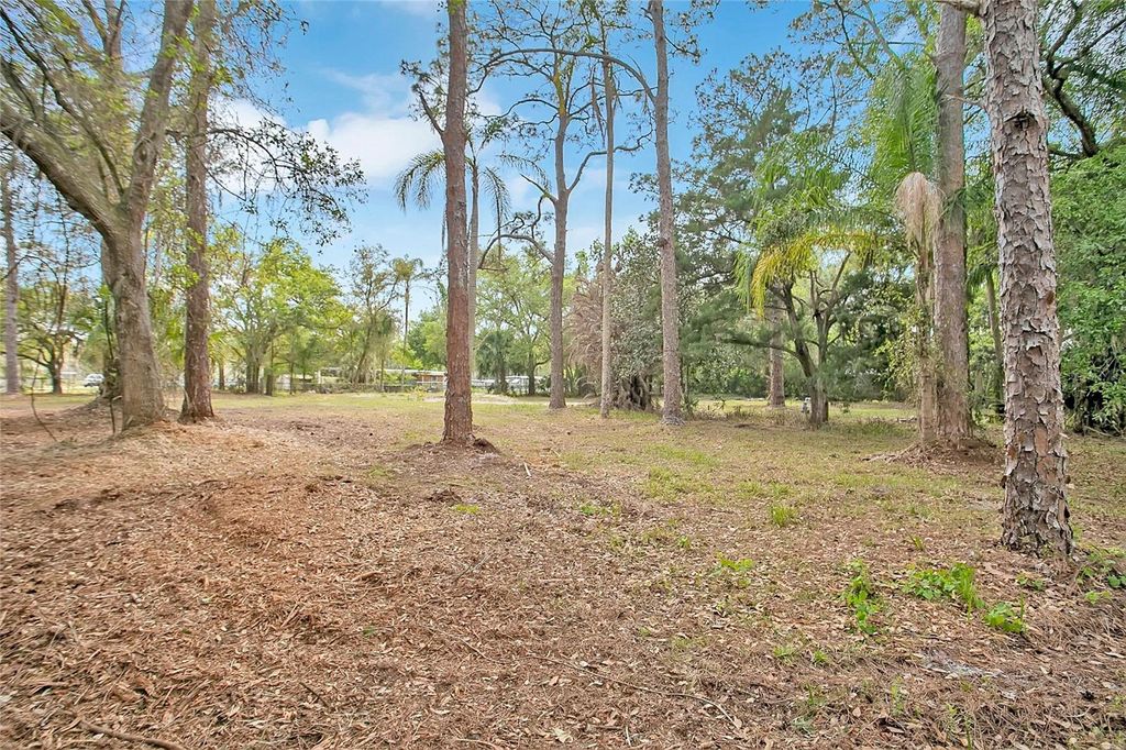 806 SAINT NICHOLAS AVENUE, Christmas, FL 32709