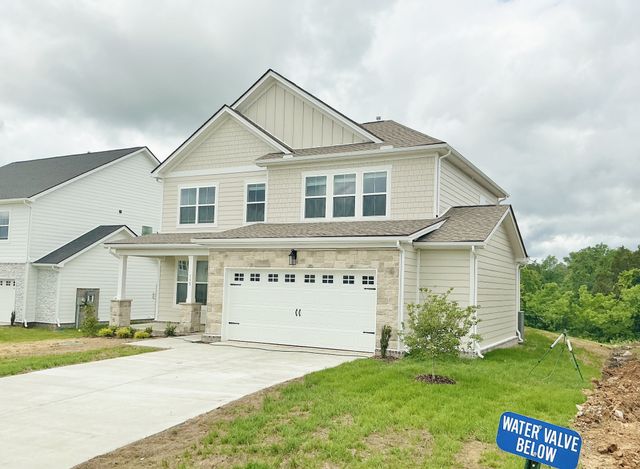 115 Emeline Way, Mount Juliet, TN 37122