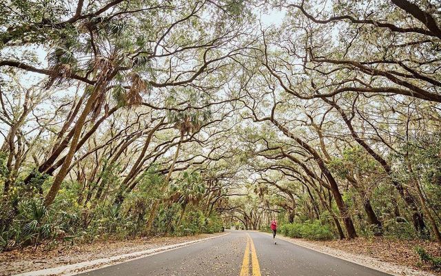 330 5TH AVENUE N, Safety Harbor, FL 34695