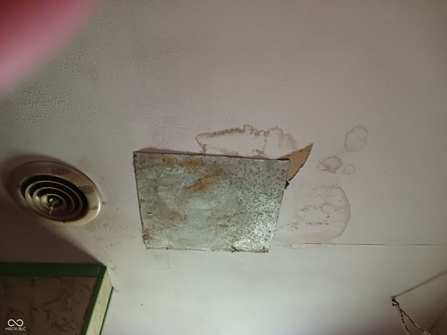 319 Peach Tree Lane, Indianapolis, IN 46219