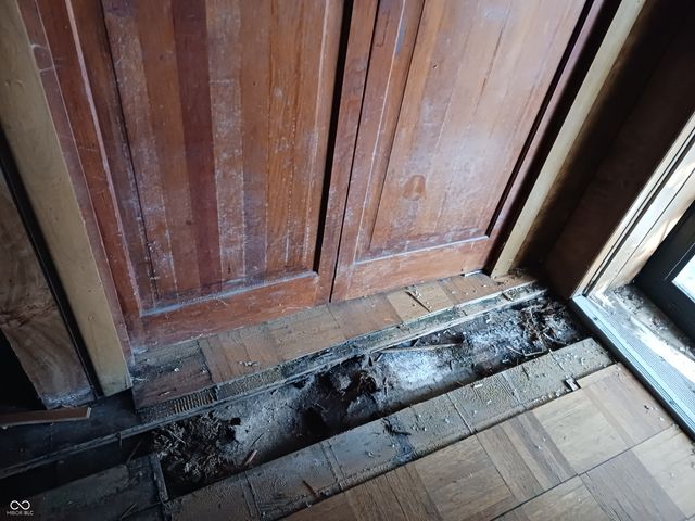 319 Peach Tree Lane, Indianapolis, IN 46219