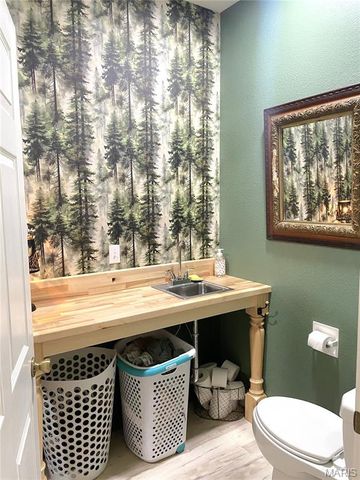 2204 Stonebrook, Dexter, MO 63841