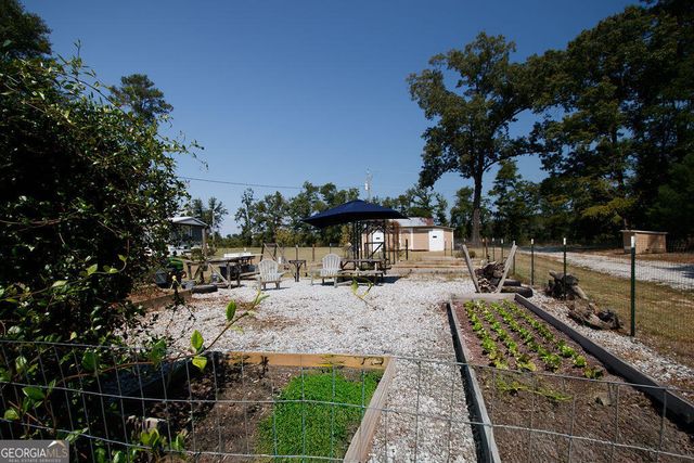 81 Docks Hook Lane, Georgetown, GA 39854