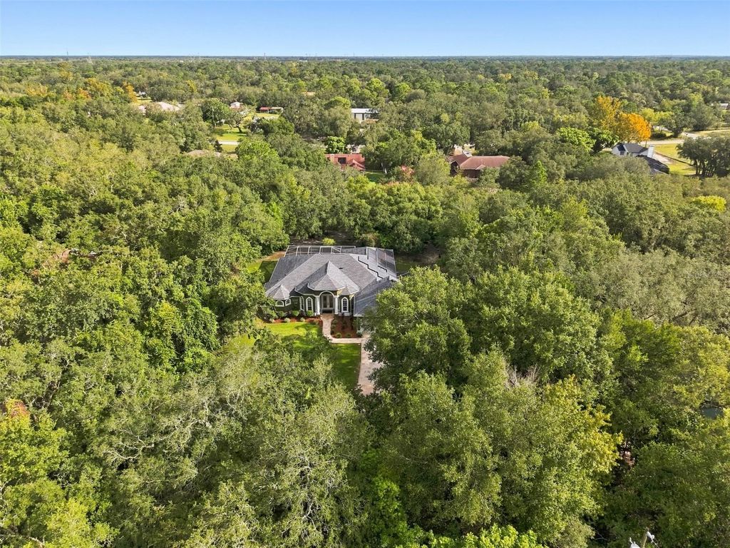 Image 54 of property listing at 16547 CROSSANDRA LANE, Spring Hill, FL 34610