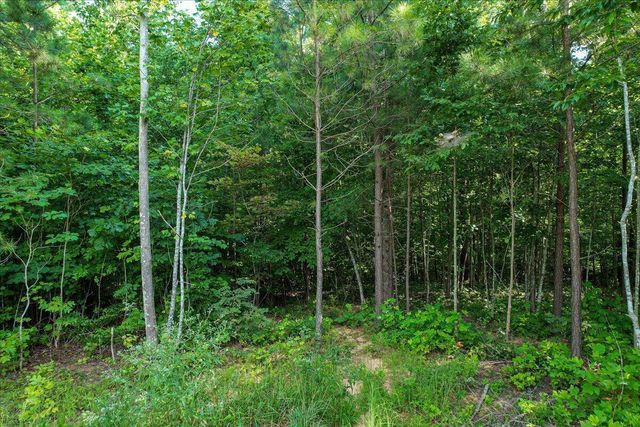 0 Whiskey Way Jf390, Jasper, TN 37347