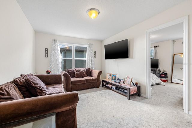 11917 GREENCHOP PLACE, Riverview, FL 33579