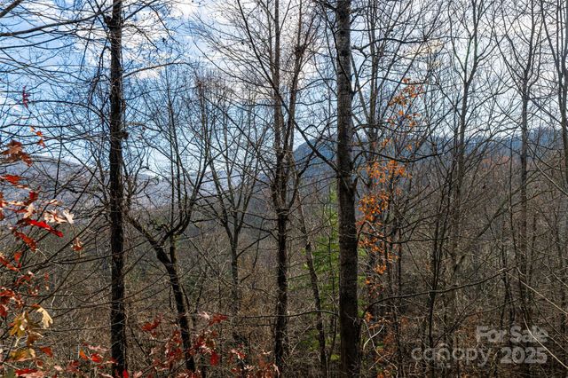 98 Sovereign Lane, Fairview, NC 28730