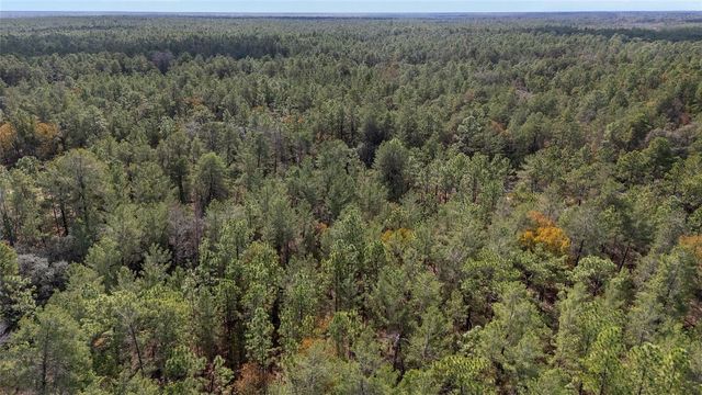 SW 177TH STREET, Ocala, FL 34473