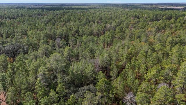 SW 177TH STREET, Ocala, FL 34473