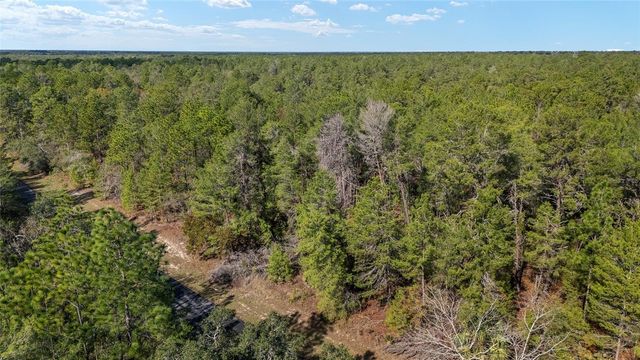 SW 177TH STREET, Ocala, FL 34473