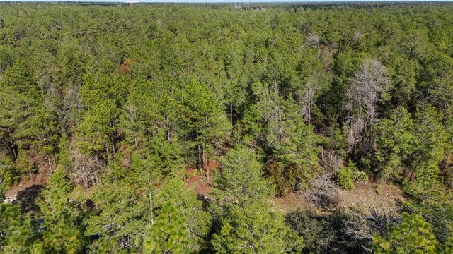 SW 177TH STREET, Ocala, FL 34473