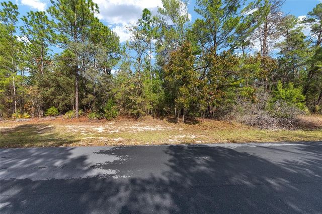 SW 177TH STREET, Ocala, FL 34473